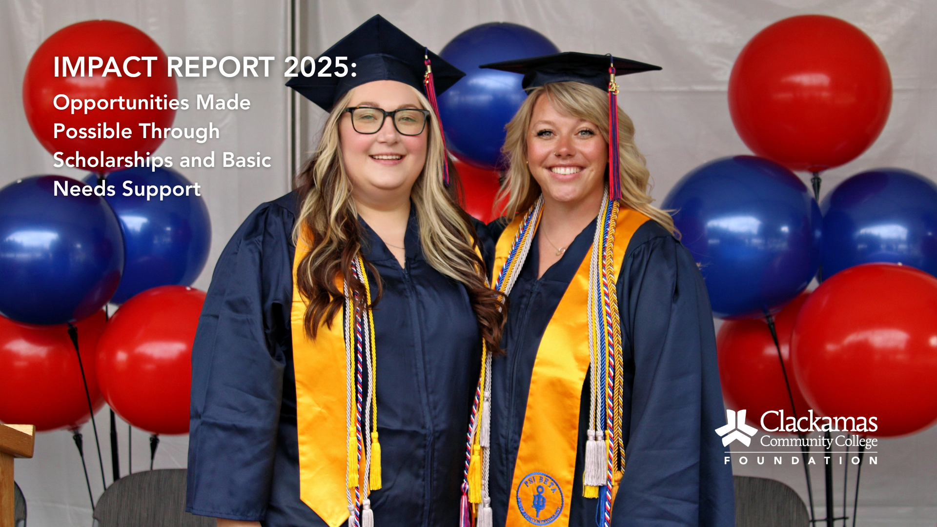 2025 Impact Report Website Homepage Graphic