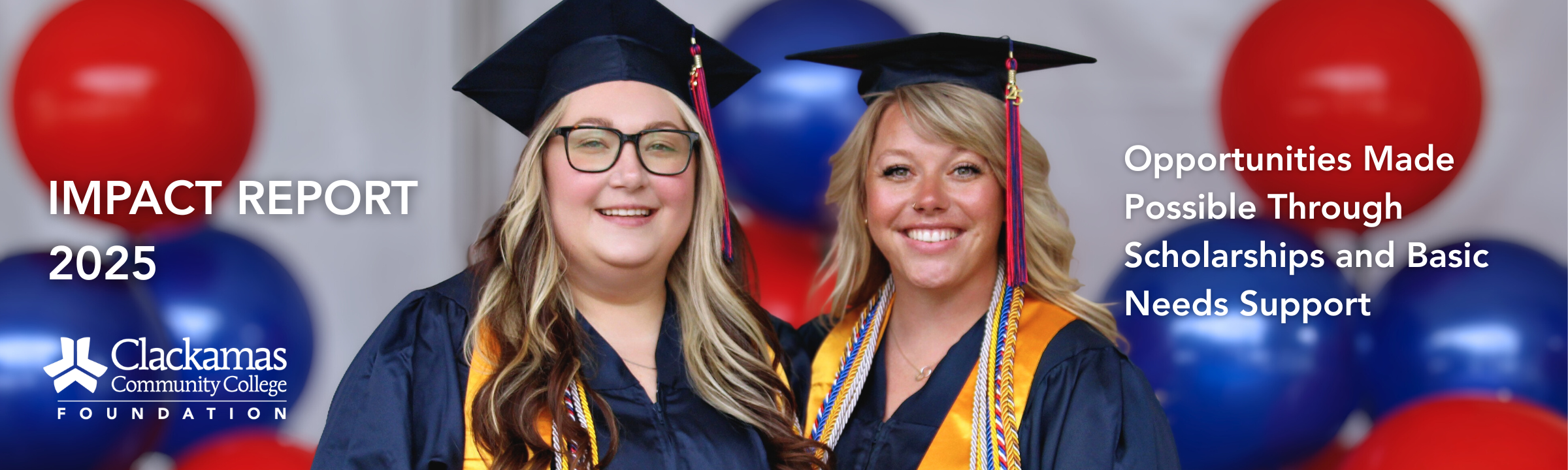 Impact Report 2026 - Website Header