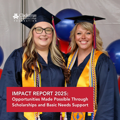 2025 Impact Report Website Homepage Graphic (500 x 500 px)